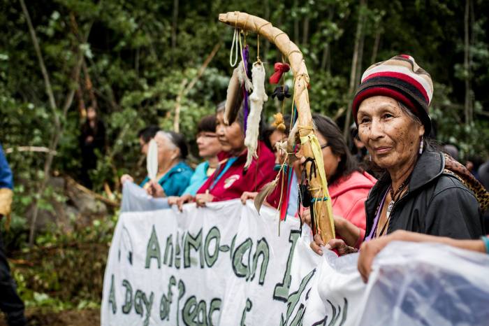 10650664_10152241294967121_1013012651_o